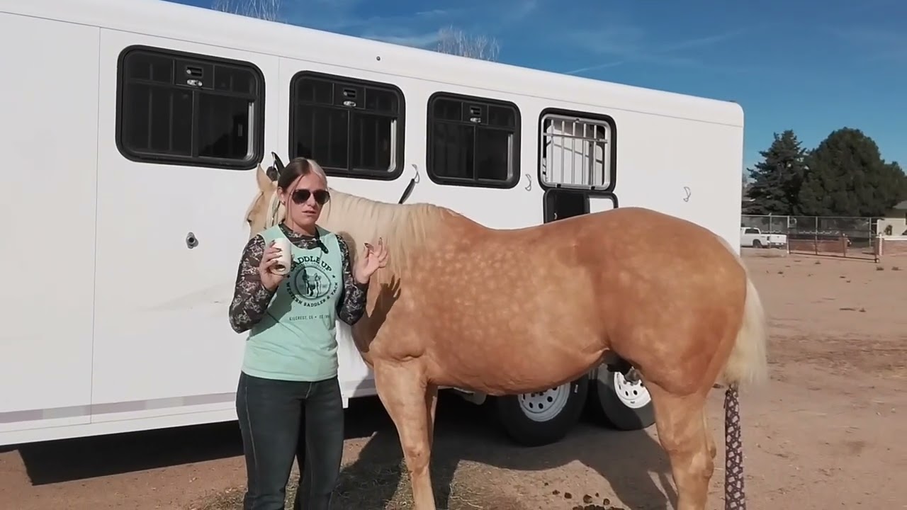 How to Measure for the Right Western Cinch Size