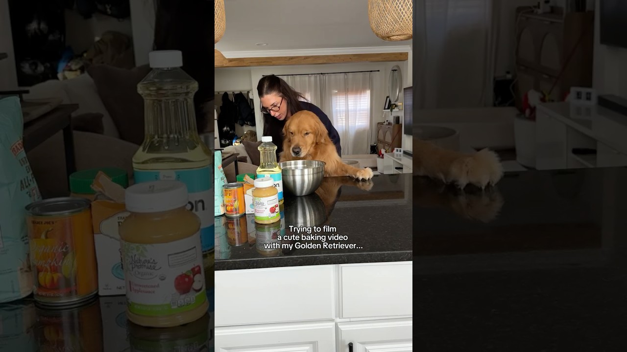 This Was Supposed to Be a Wholesome Baking Video