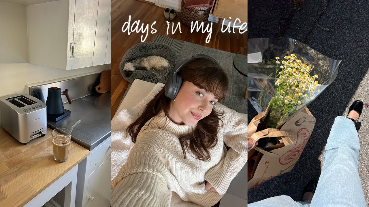 starting my SIBO healing journey and black friday pick ups (vlog)