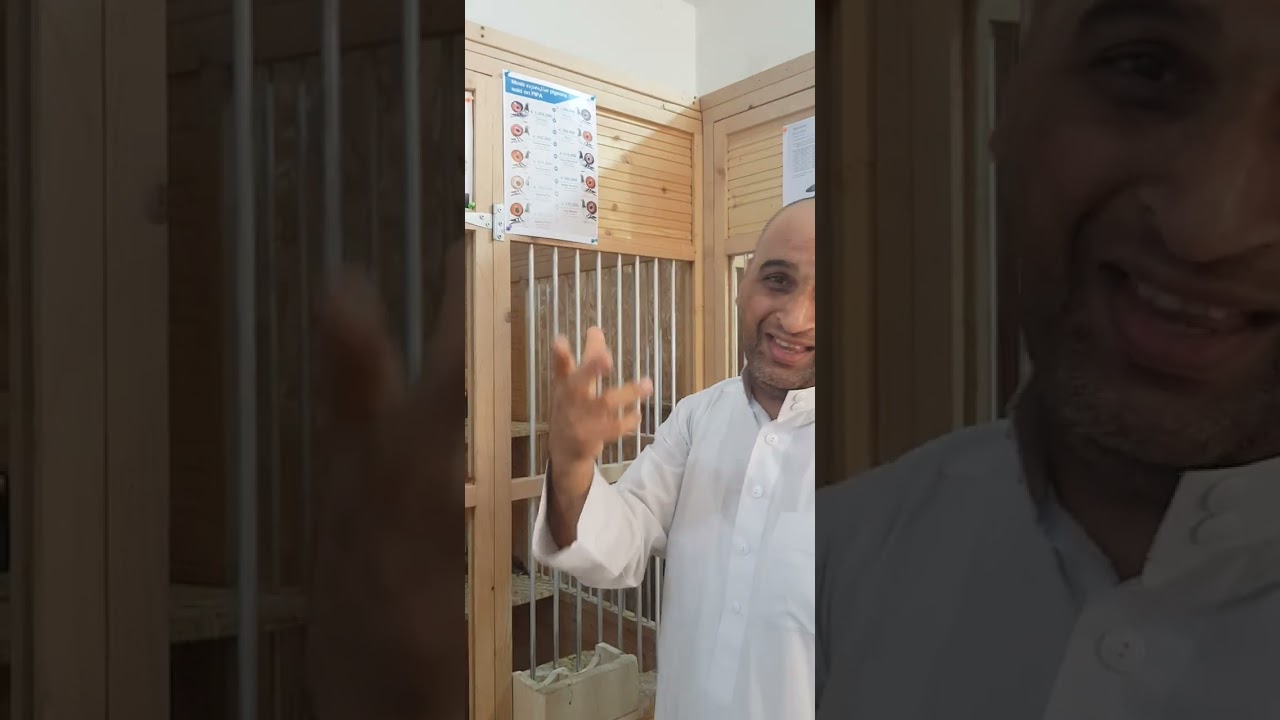 حمام لا يقدر بثمن