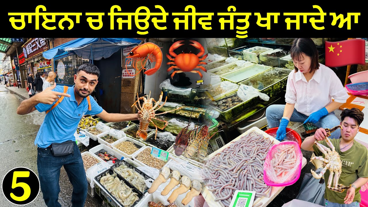 ਚਾਇਨਾ 🦀 ਚ ਜਿਉਦੇ ਜੀਵ ਜੰਤੂ ਖਾਂ ਜਾਦੇ ਨੇ 🇨🇳| China’s Seafood Market 🦞🦐