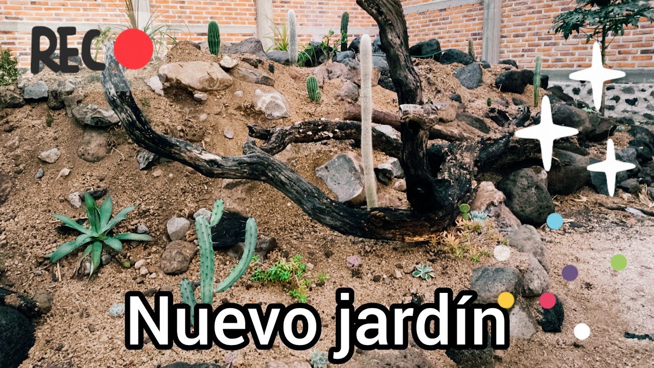 Haciendo un jardín XEROFILO. 🐢🙂🌵