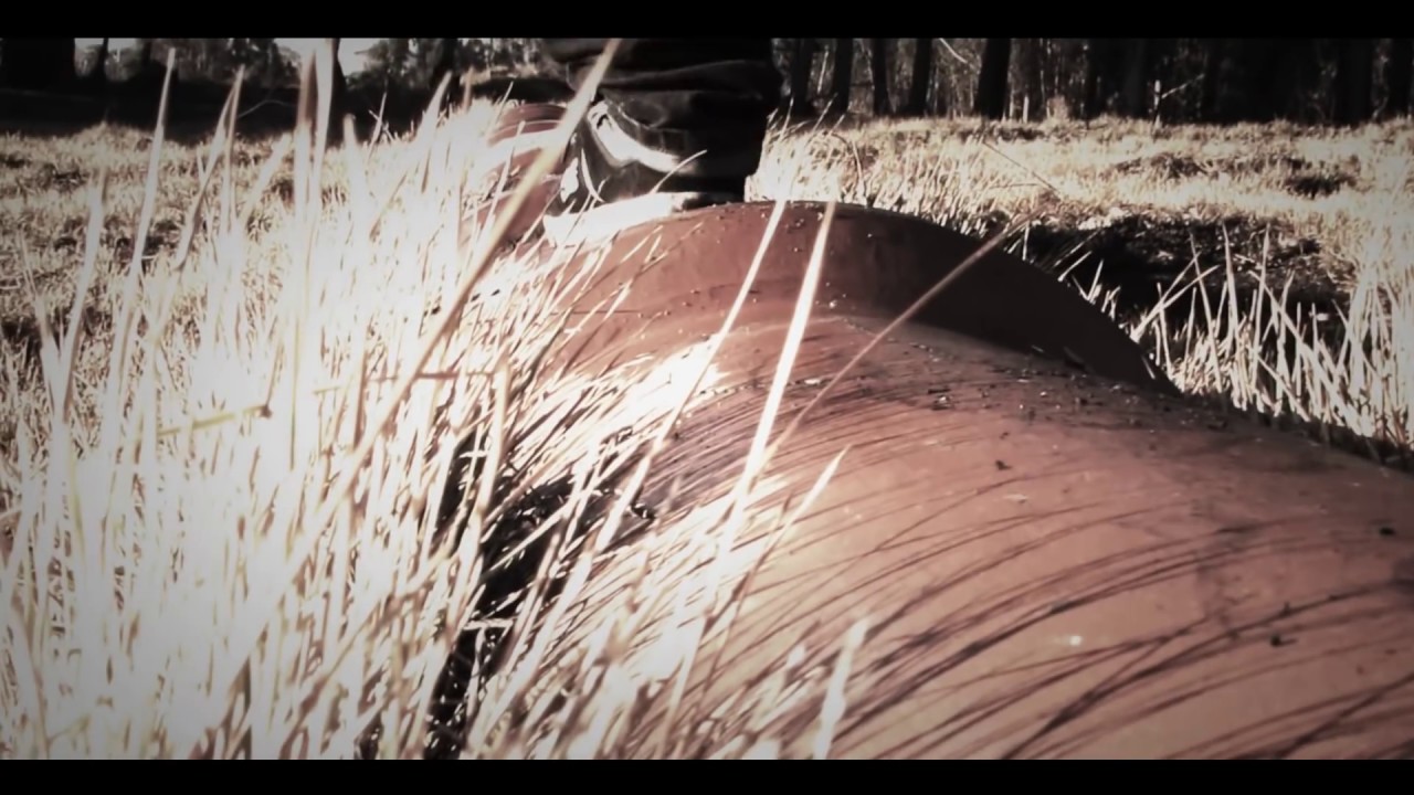 Introspectivo -  Haer