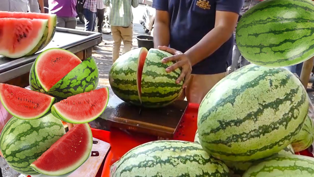 Amazing Watermelon Cutting Skills | Watermelon Fruit Ninja | Indian Street Food