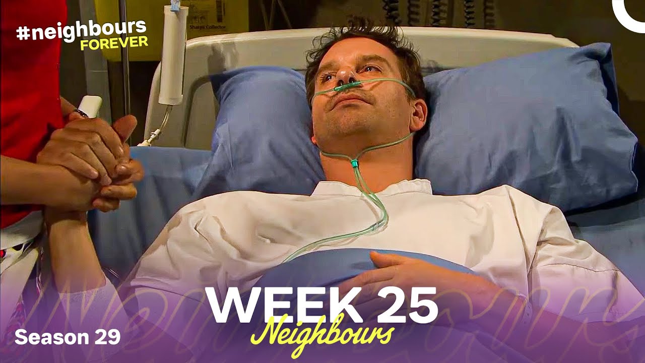 WEEK 25 | Episodes 6671-6675 | Neighbours 2013 (Season 29)