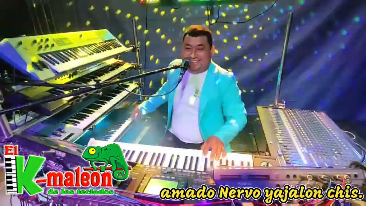 El camaleón de los teclados - la cacerola en vivo