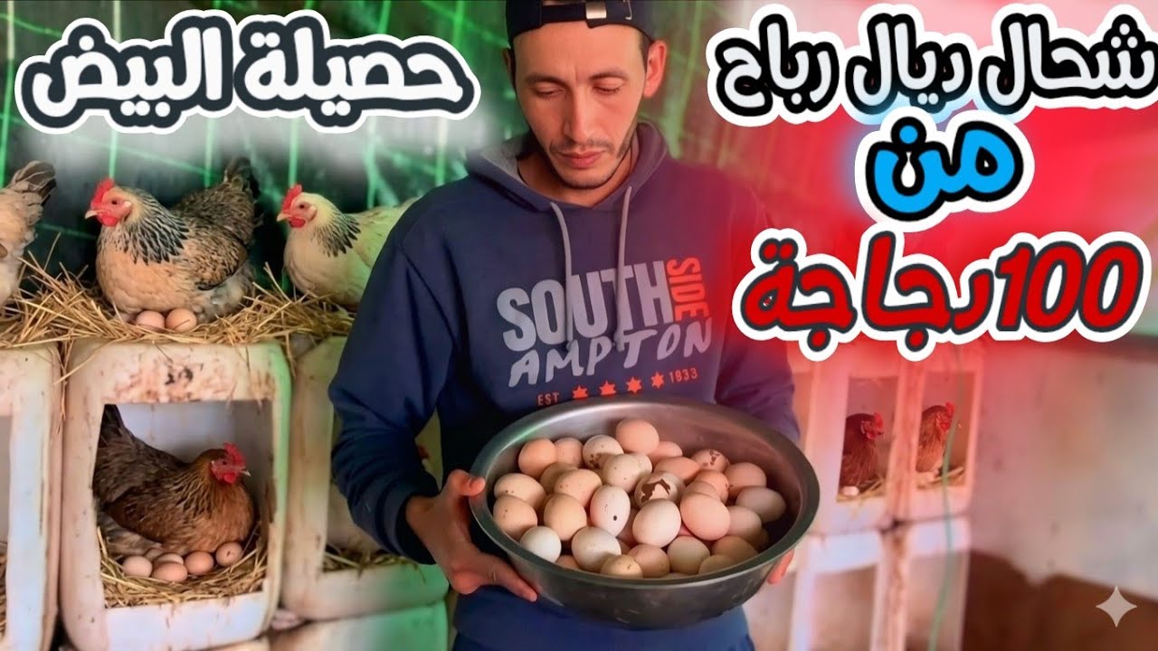 💥وصلنا طلبية البيض لولاد فرج+حصيلةالبيض من 100دجاجة أو شحال تقدر تربح منها +خلطنا العلف للدجاج...