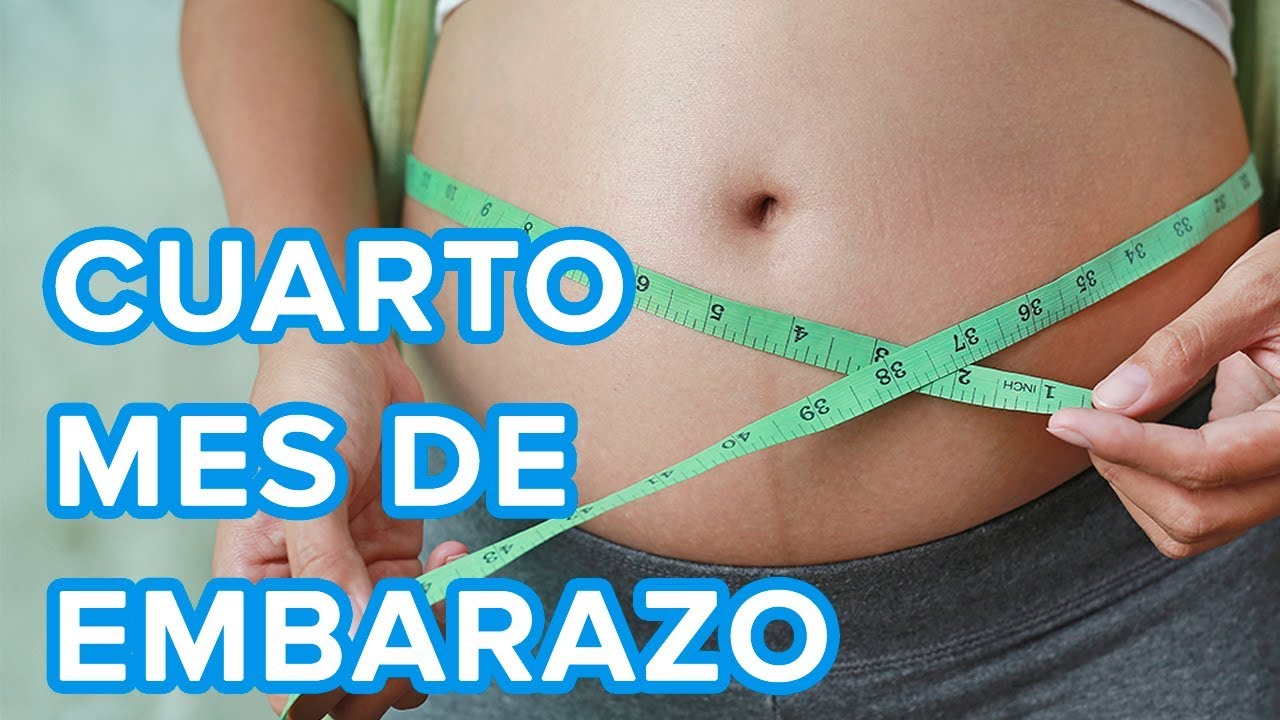 El cuarto mes de embarazo | Así crece tu bebé, así cambia tu cuerpo 🤰