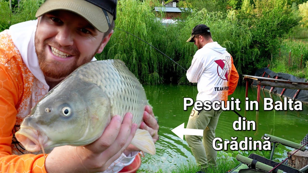 Pescuit la feeder in Balta Mea - Carasul mi a RUPT Lanseta ! 🤕 - Partidă scurtă pești frumoși 🎣 