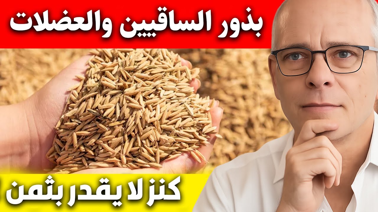 أفضل 9 بذور يمكنها تقوية العظام والعضلات بعد سن الستين