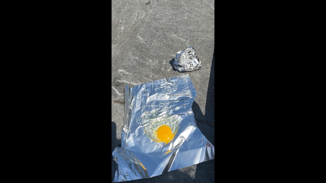 Can you really fry an egg in New York City's heat wave?