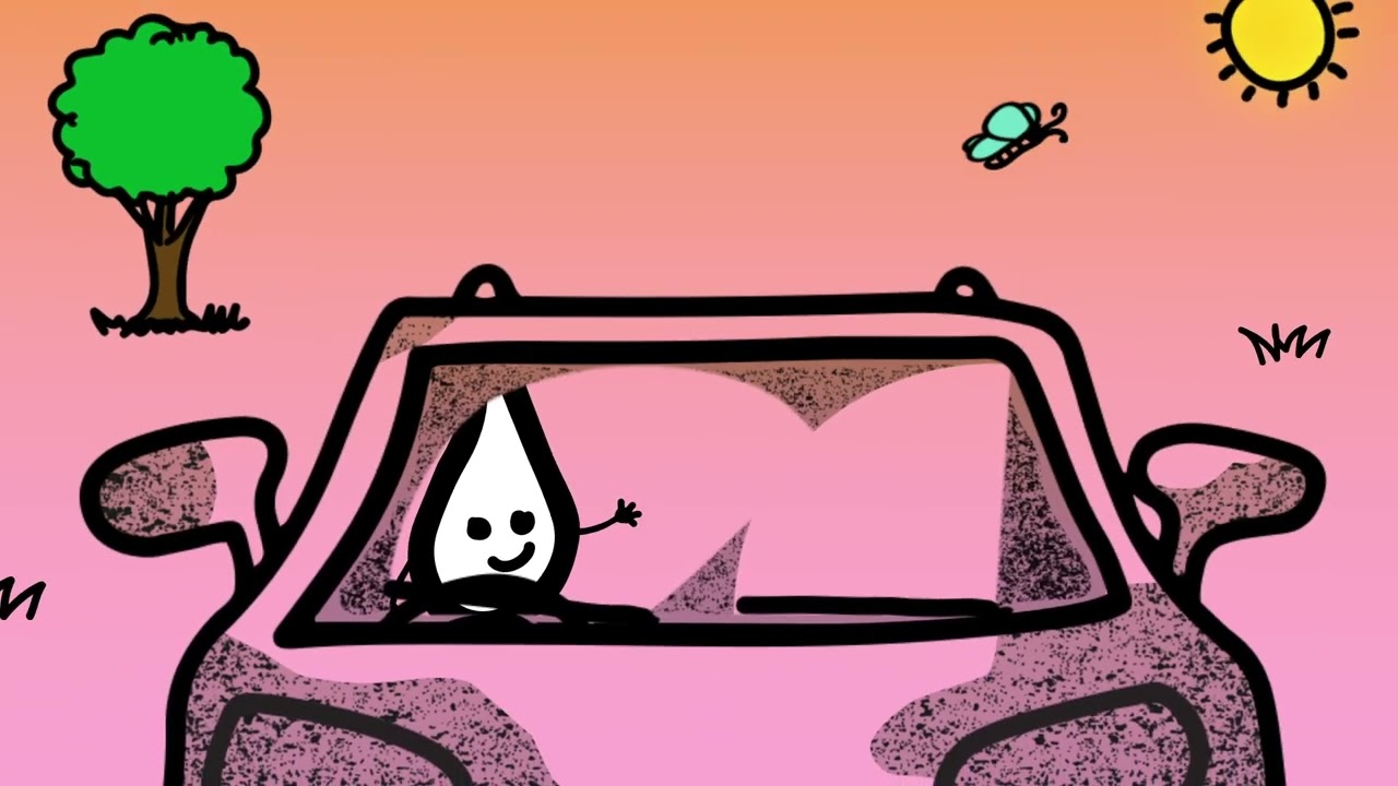 Save water - don't wash the car!