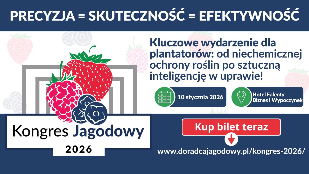 Pytania plantatorów odpowiedzi doradców praktyczne rozwiązania i zaproszenie na Kongres Jagodowy