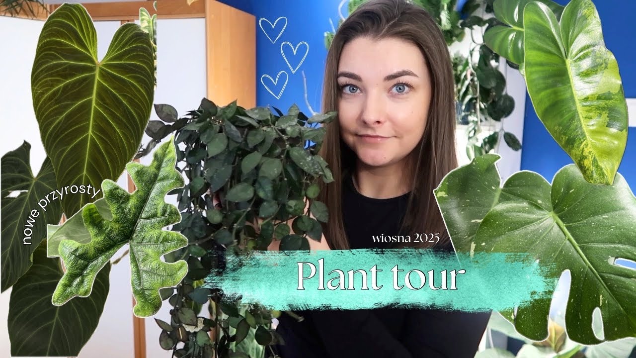 Efekty wiosny: nowe przyrosty i liście, przegląd roślin