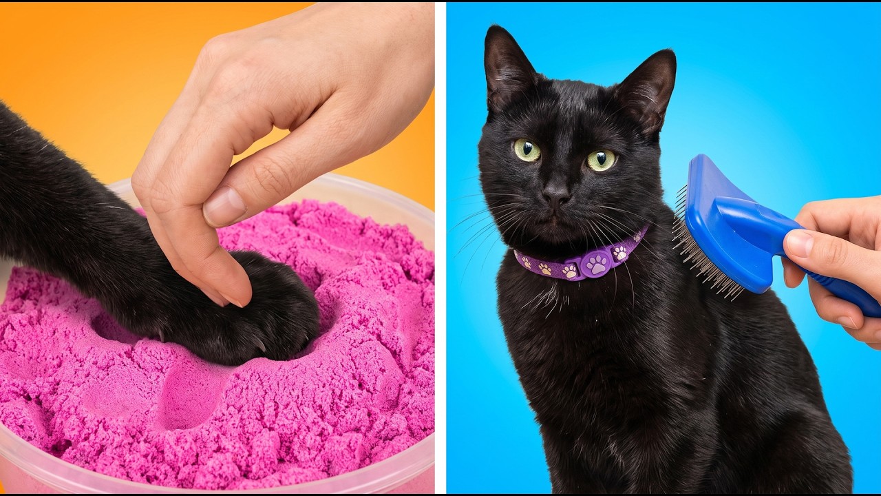 Makeover of Homeless Kitten😱 *Gadgets and Hacks for Pets*