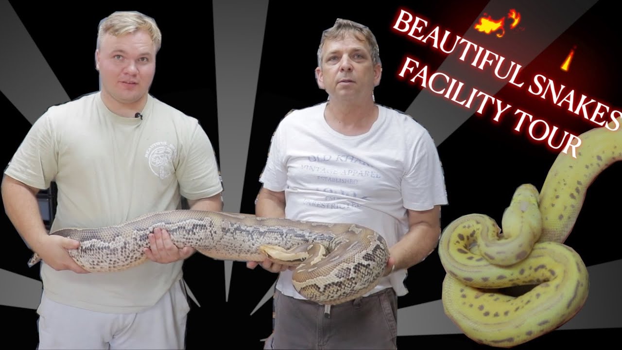 Touring Beautiful Snakes Facility