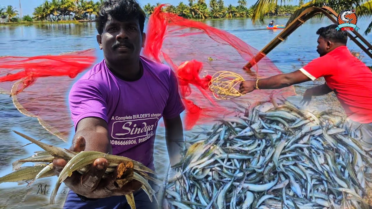 പിള്ളേരെ സ്കൂളിൽ വിടാൻ പോയി വന്ന് വീശി കിട്ടിയ കോലയുടെ വലുപ്പം 🙄