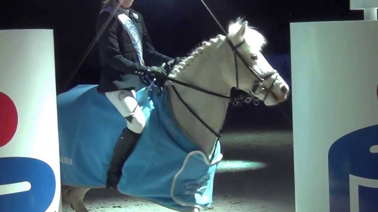 SKJ Poland Park - 20140316 Cavaliada Future - dekoracja zwycięzc&oacute;w