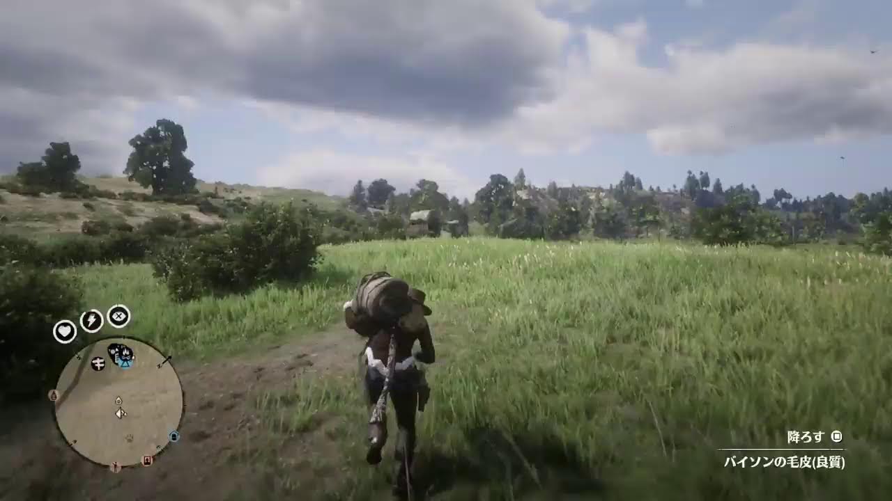 Ps5.RED DEAD Online [質問(可 2026/1/17 #01]
