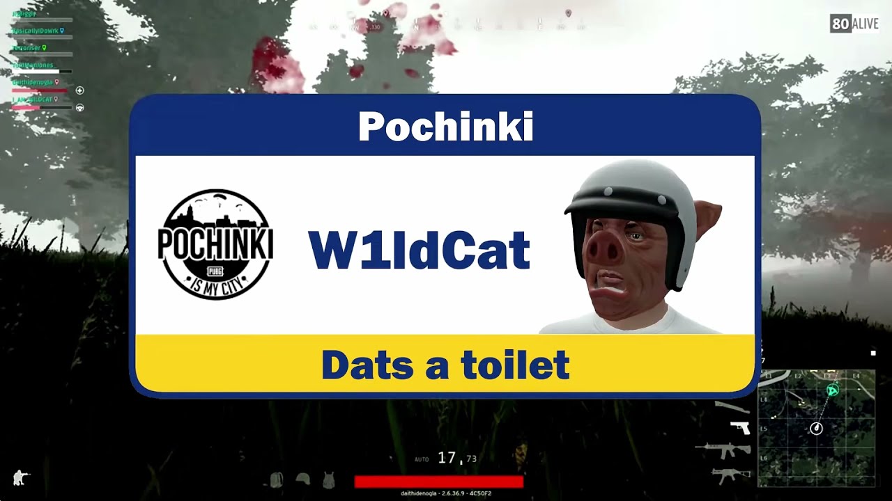 Nogla Betrayed By Wildcat