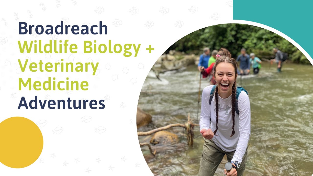 Broadreach Webinar: Wildlife Biology + Veterinary Medicine Teen Trips