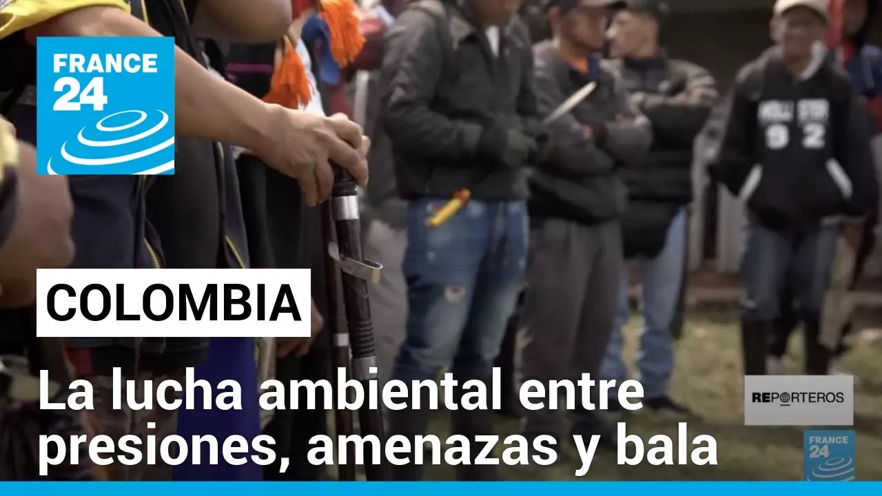 🇨🇴🌳 La lucha ambiental en #Colombia a pesar de las balas