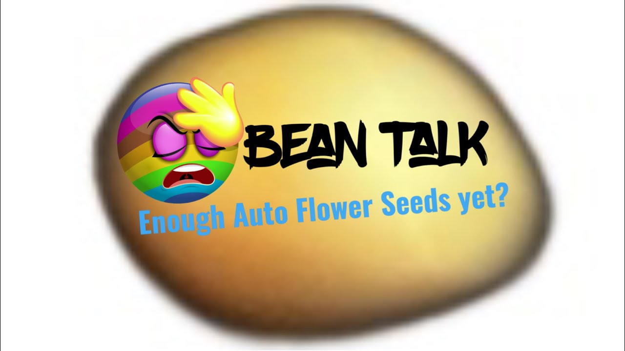 Enough #autoflower seeds yet?