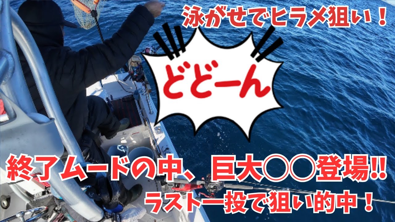 泳がせでヒラメ狙い！終了ムードの中、巨大◯◯登場…悪条件のラスト一投で狙い的中！ #泳がせ釣り #ラスト一投 #相模湾