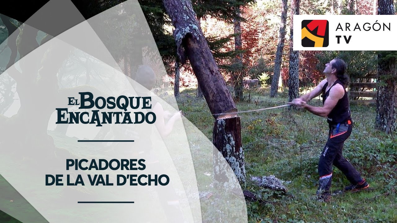 Picadores de la Val d'Echo | SELVA DE OZA