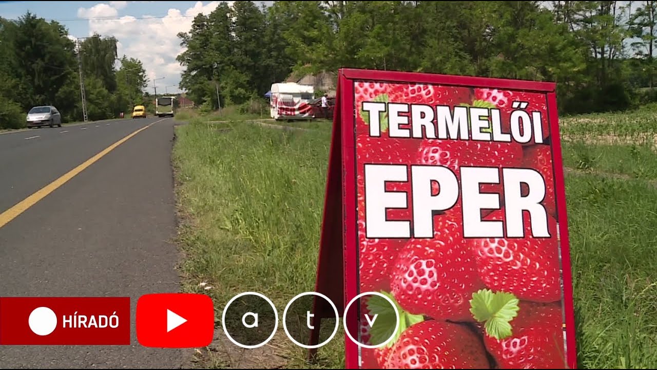 A termelőknek olcsó, a vevőknek drága az eper