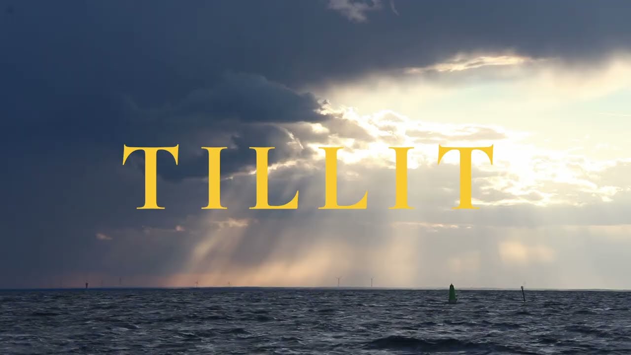 Tillit