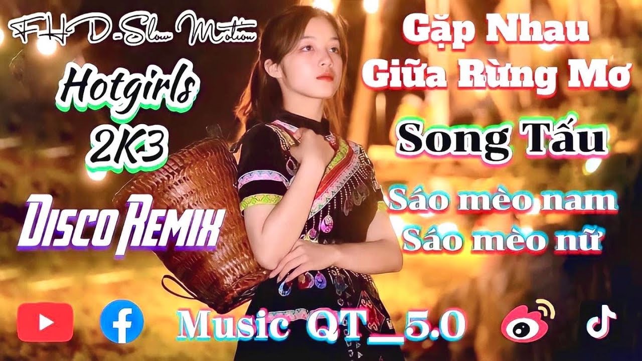 Gặp Nhau Giữa Rừng Mơ | Remix（Disco / Sáo Mèo）Hotgirl 2K3（Độc Quyền）FHDMax-FlyCam