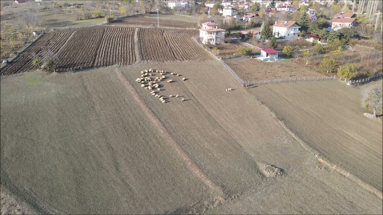 Şıhlar K&ouml;y&uuml;
