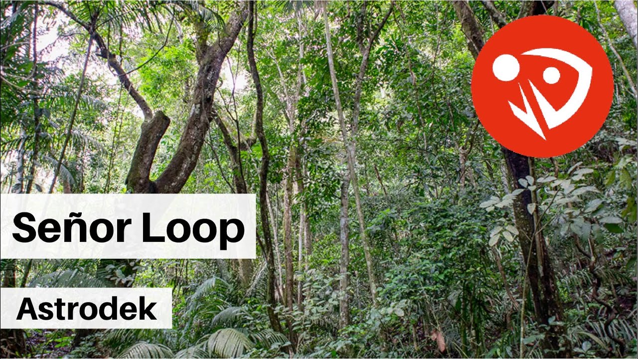Señor Loop - Astrodek (Audio Oficial)