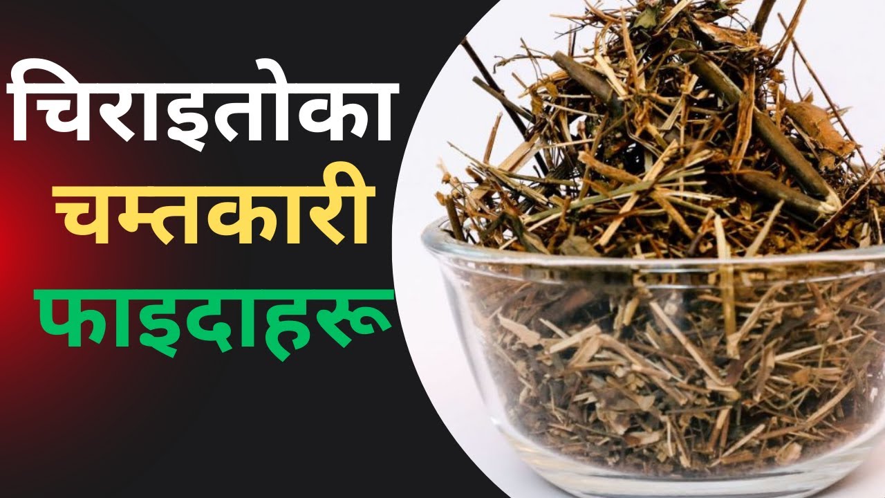 चिराइताेका चम्कारी फाइदाहरू The amazing benefits of chiraita
