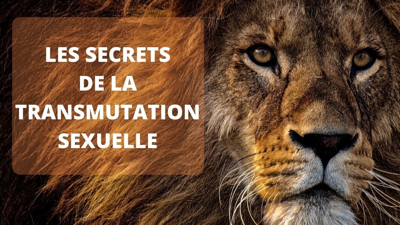 La Transmutation Sexuelle : C'est quoi ?