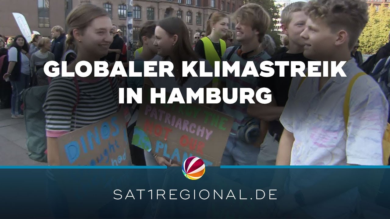 Globaler Klimastreik: 2.500 Menschen bei Fridays for Future-Demo in Hamburg