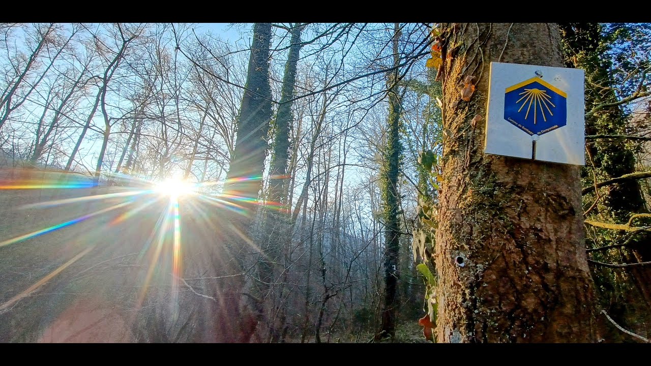 Huy - Andenne #treinstapper 23 Km.(Via Mosana)