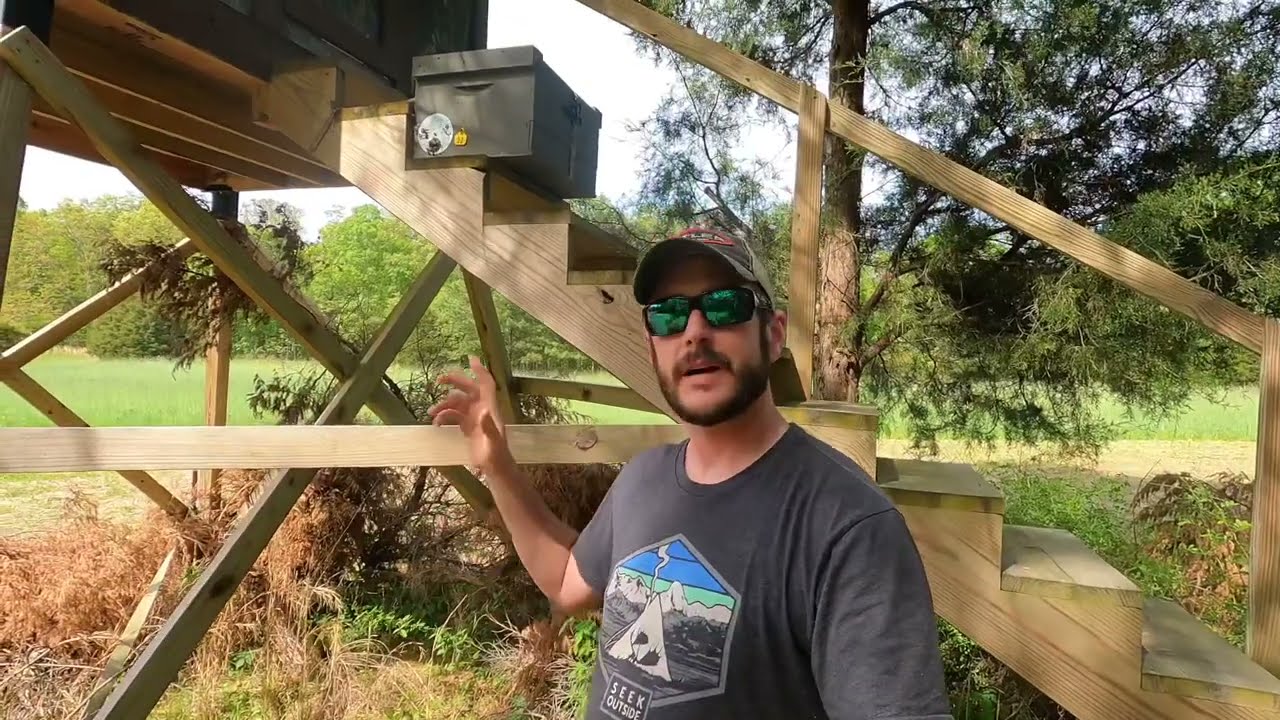Scout Bees or Swarm Catch? (how to tell the difference)