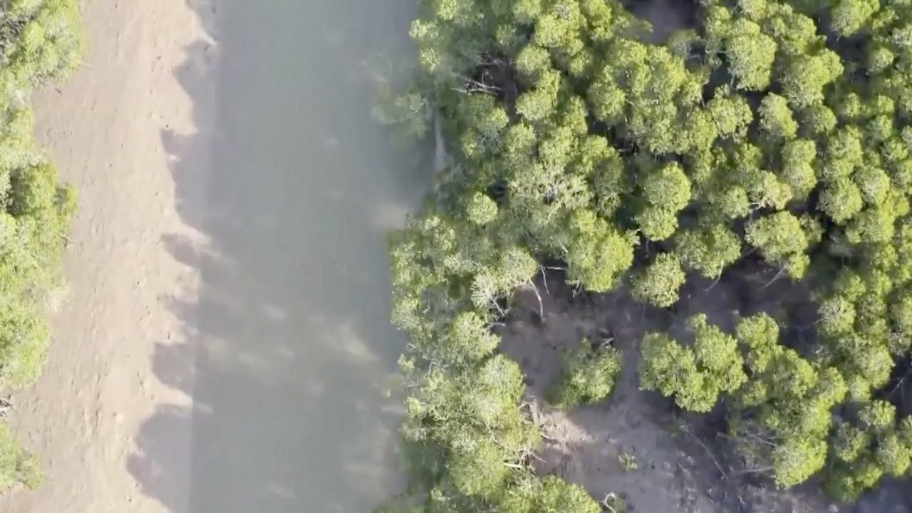 China makes headway in wetland conservation