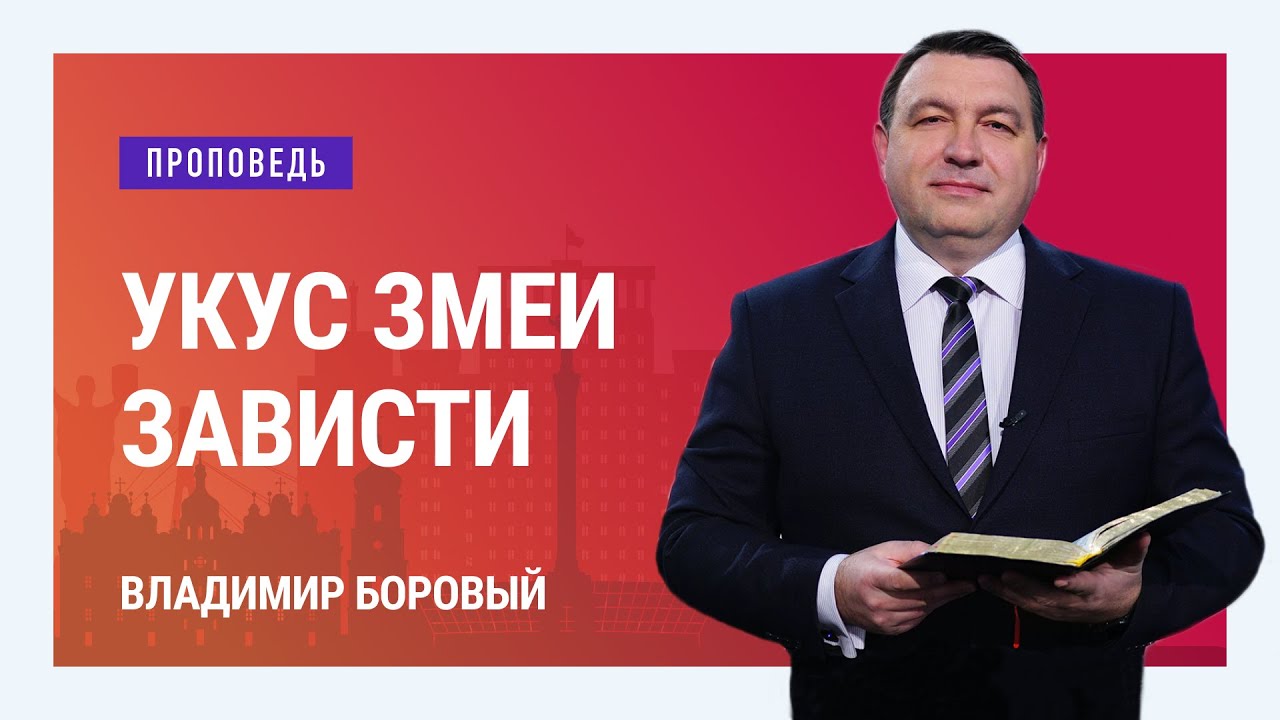 Укус змеи Зависти. Владимир Боровый | Проповеди