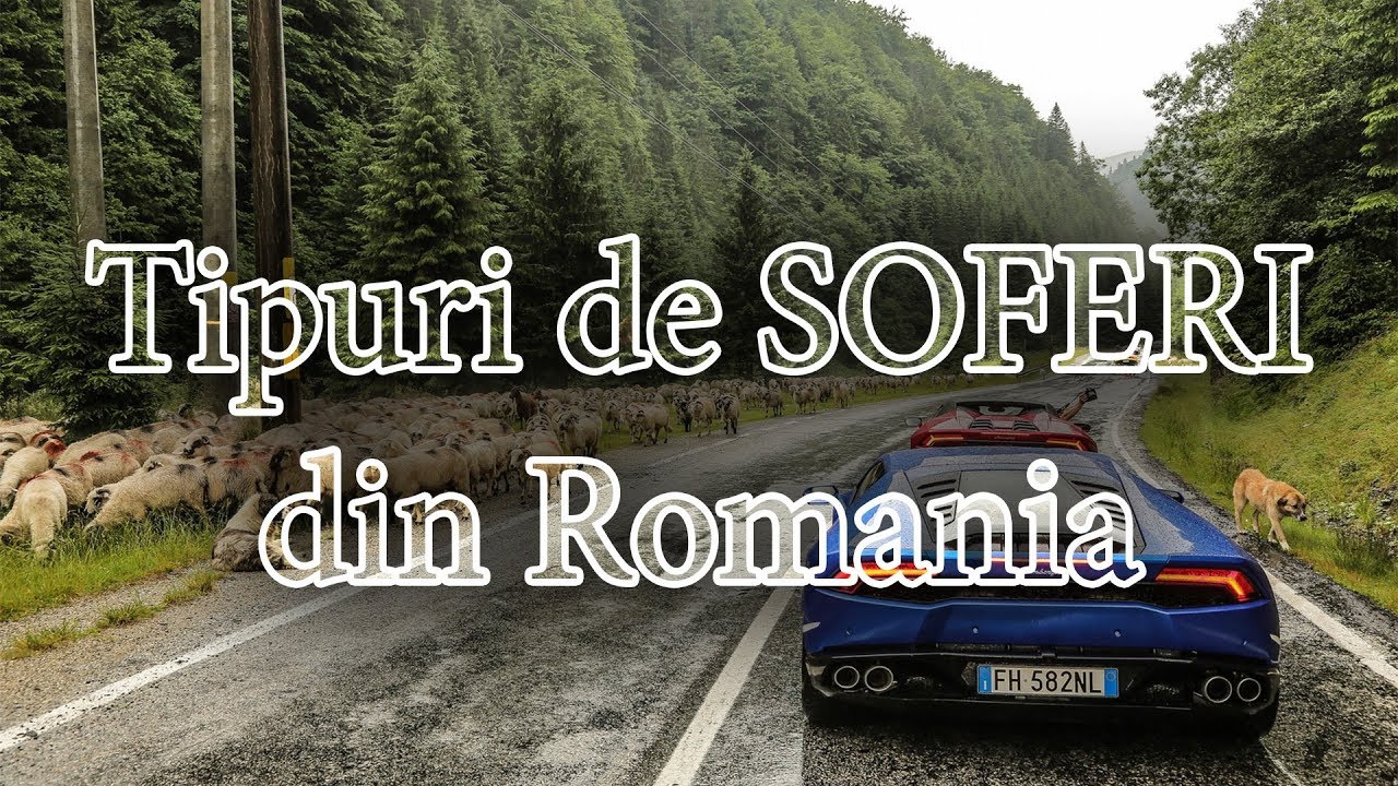 TIPURI DE SOFERI DIN ROMANIA