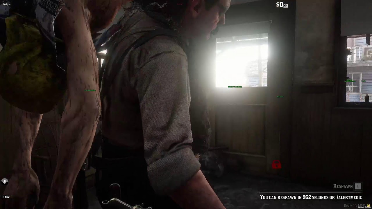 Inebriated YouTuber Plays Red Dead RP