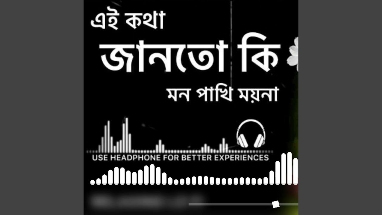 E Kotha Janto Ki Mon Pakhi | Lofi song