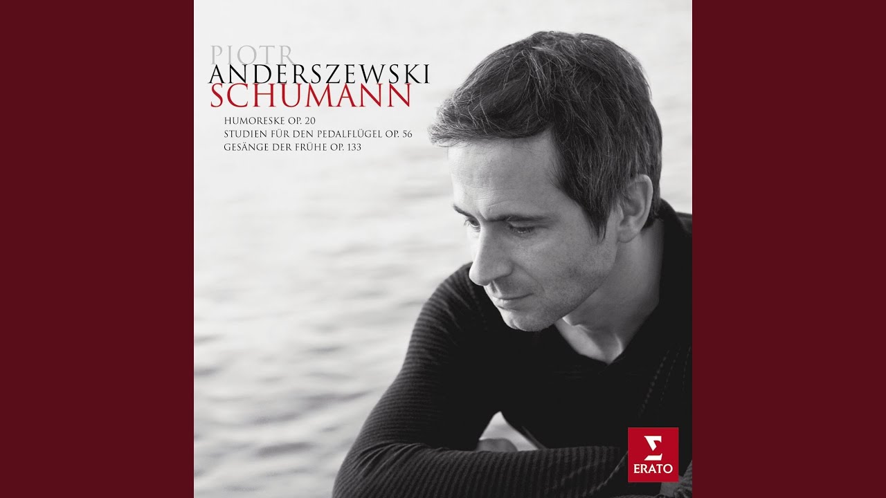 Humoreske, Op. 20: II. Hastig