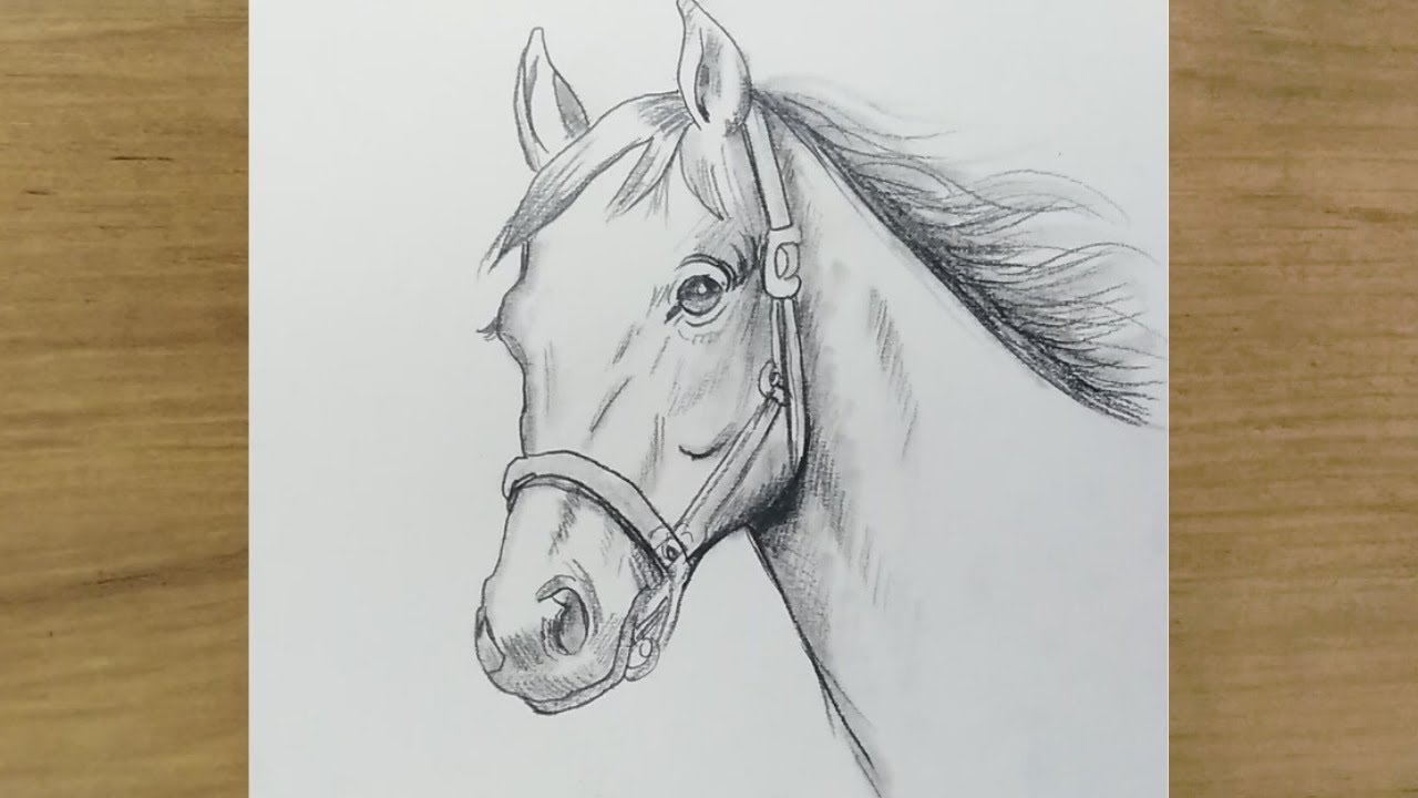 At Resmi Nasıl Çizilir  | Adım Adım At Çizimi | Karakalem Çizimleri | How To Draw Horse