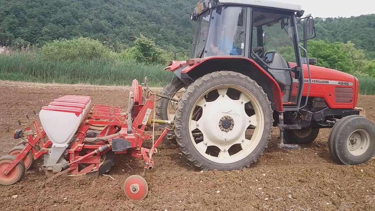 semina soia e rullatura 2k18|massey ferguson 4245+garspardo|steyr 8080+rullo