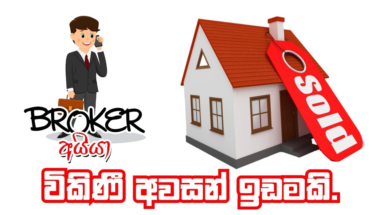 LAND FOR SALE IN KOBEIGANE/LAND FOR SALE/HOUSE FOR SALE/ IDAM GEWAL @brokeraiya Cocunut Land
