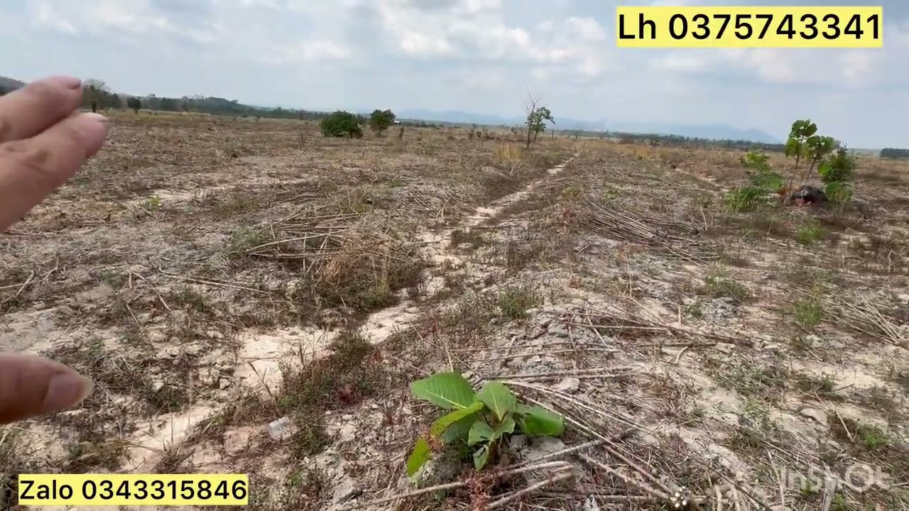 Lô đất chủ đang cần bán cô chú anh chị cần tìm đất liên hệ trực tiếp em nha ￼￼