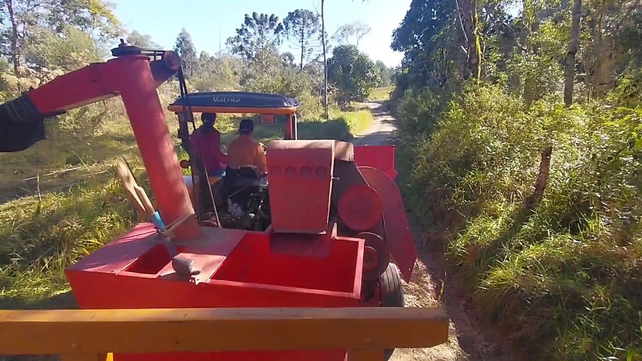 Família Bueno - Valtra a650 colhendo milho com foguetinho penha 350
